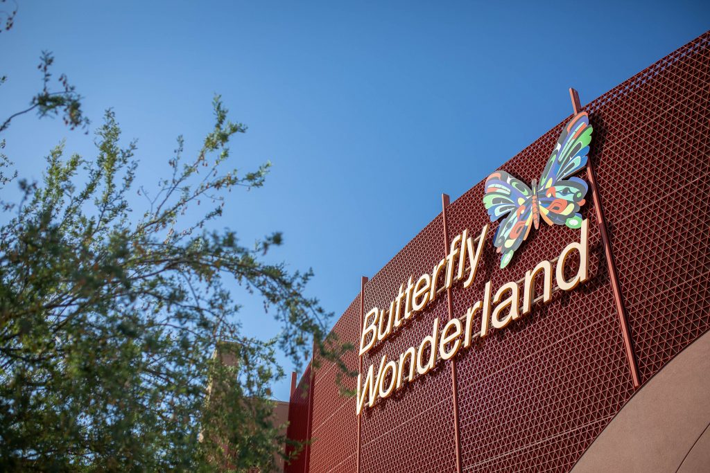 Butterly Wonderland at Arizona Boardwalk