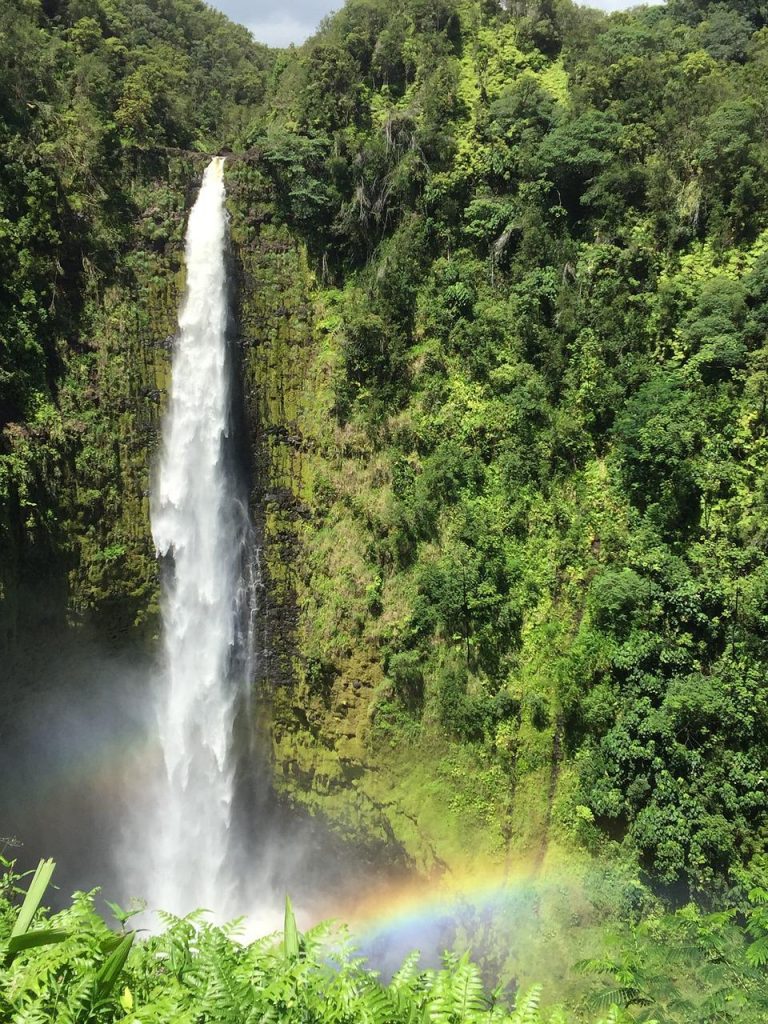 'Akaka Falls - Hawaii- Waterfalls - City Mom Collective